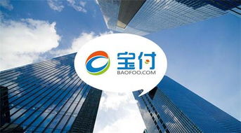 寶付支付 深耕通信電商領域，攜手行業巨頭共繪新藍圖